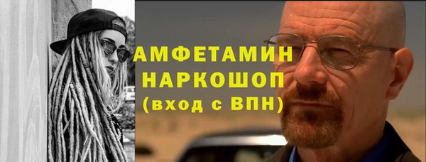 крисы Ростов
