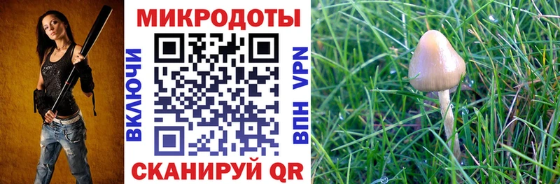 Псилоцибиновые грибы мицелий  Грязи 
