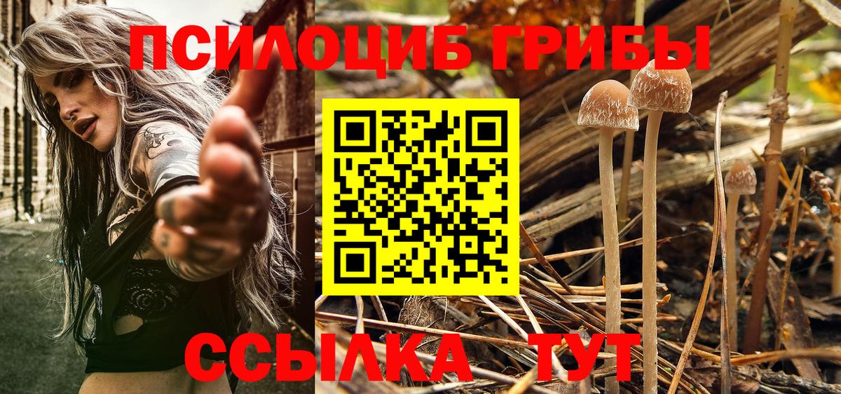 Псилоцибиновые грибы Cubensis  Вход с VPN  Грязи  Галлюциногенные грибы GOLDEN TEACHER 